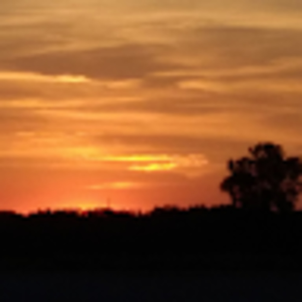 Meet your Posher, Aye